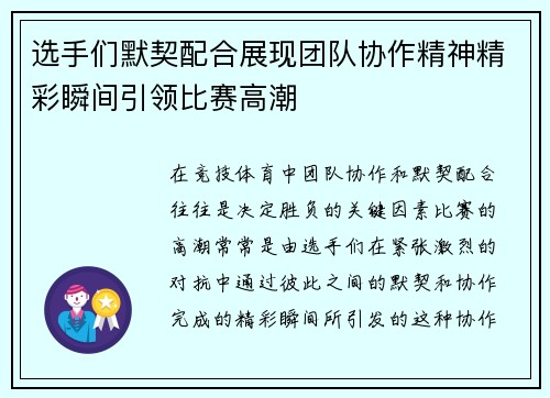 选手们默契配合展现团队协作精神精彩瞬间引领比赛高潮