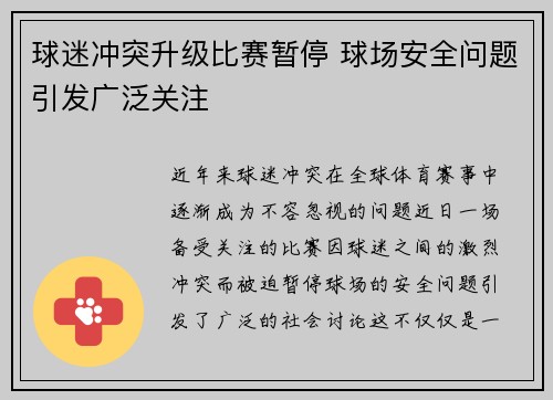 球迷冲突升级比赛暂停 球场安全问题引发广泛关注